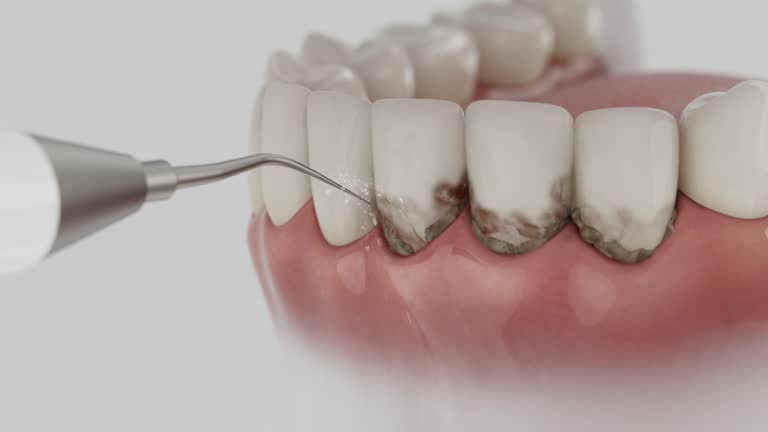 Reliable Dental contractor in Bellevue, WI by Dentist Open Now